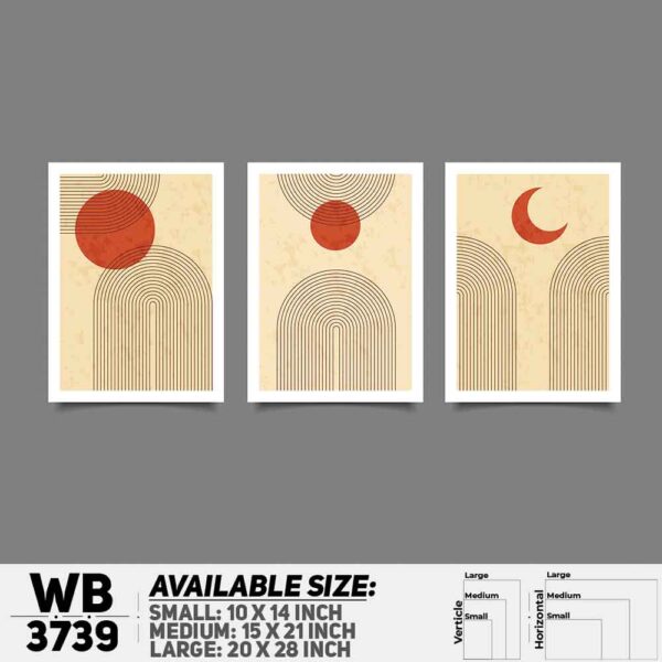 DDecorator Astrophysics Abstract (Set of 3) Wall Decoration And Home Decoration PVC Wall Board And Wall Canvas - WB3739